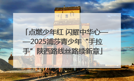 点燃少年红 闪耀中华心——2025浦莎青少年“手拉手”陕西路线丝路续新章