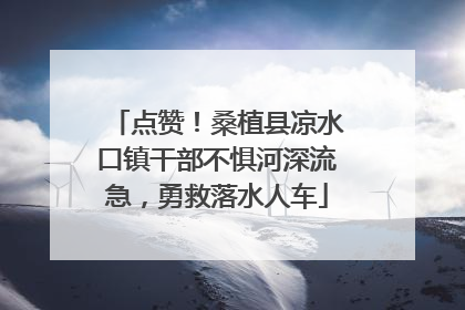 点赞！桑植县凉水口镇干部不惧河深流急，勇救落水人车