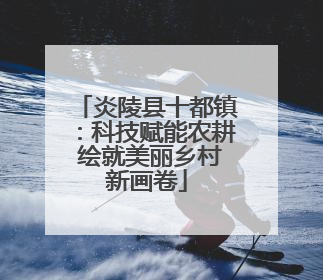 炎陵县十都镇：科技赋能农耕 绘就美丽乡村新画卷