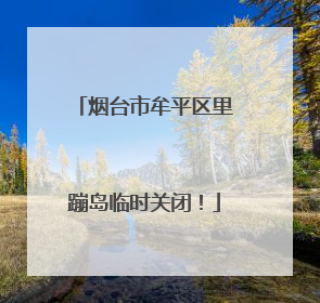 烟台市牟平区里蹦岛临时关闭！