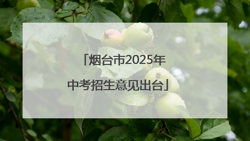 烟台市2025年中考招生意见出台