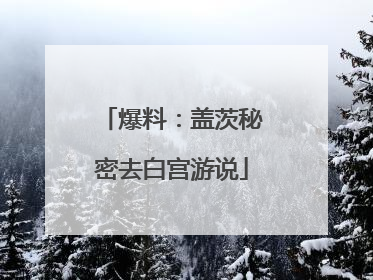 爆料：盖茨秘密去白宫游说