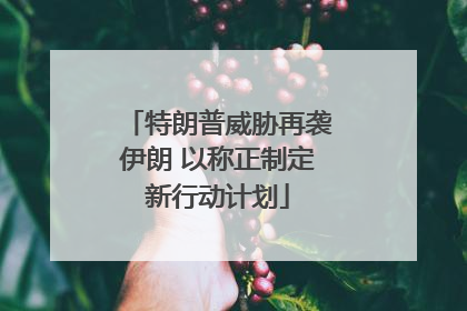 特朗普威胁再袭伊朗 以称正制定新行动计划