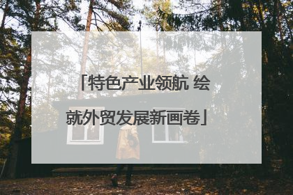 特色产业领航 绘就外贸发展新画卷