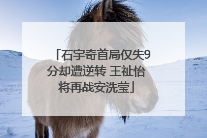 石宇奇首局仅失9分却遭逆转 王祉怡将再战安洗莹