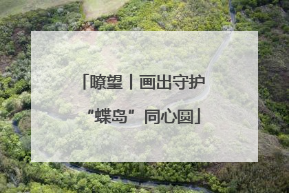 瞭望丨画出守护“蝶岛”同心圆