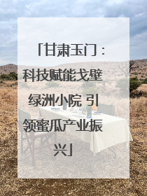 甘肃玉门：科技赋能戈壁绿洲小院 引领蜜瓜产业振兴