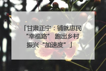 甘肃正宁：铺就惠民“幸福路” 跑出乡村振兴“加速度”