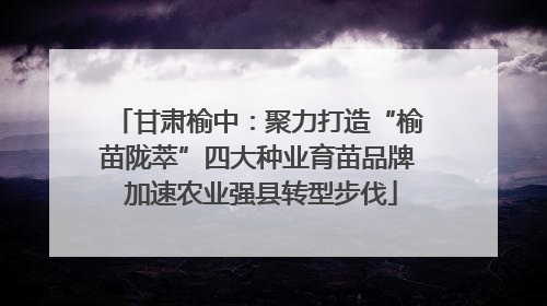 甘肃榆中：聚力打造“榆苗陇萃”四大种业育苗品牌 加速农业强县转型步伐