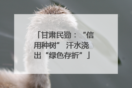 甘肃民勤：“信用种树” 汗水浇出“绿色存折”