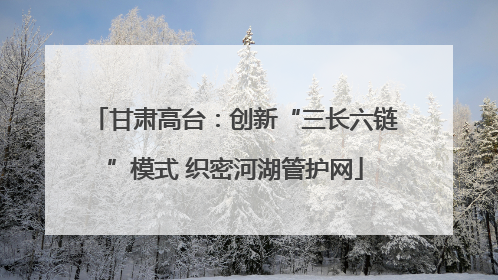 甘肃高台：创新“三长六链”模式 织密河湖管护网
