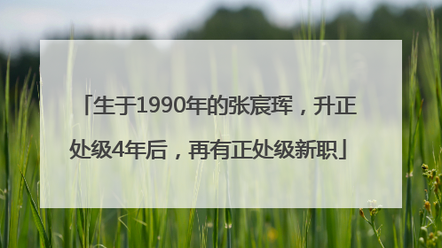 生于1990年的张宸珲，升正处级4年后，再有正处级新职