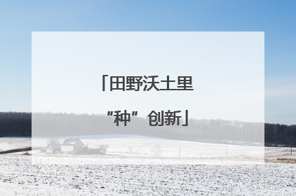 田野沃土里“种”创新