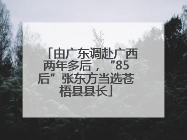由广东调赴广西两年多后，“85后”张东方当选苍梧县县长