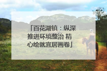 百花湖镇：纵深推进环境整治 精心绘就宜居画卷