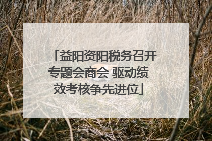 益阳资阳税务召开专题会商会 驱动绩效考核争先进位