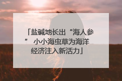 盐碱地长出“海人参” 小小海虫草为海洋经济注入新活力