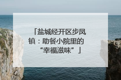 盐城经开区步凤镇：助餐小院里的“幸福滋味”