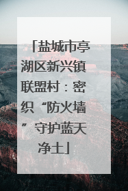 盐城市亭湖区新兴镇联盟村：密织“防火墙”守护蓝天净土