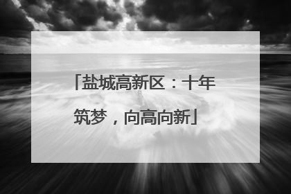 盐城高新区：十年筑梦，向高向新