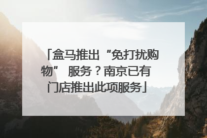 盒马推出“免打扰购物” 服务？南京已有门店推出此项服务