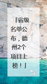 省级名单公布，德州2个项目上榜！