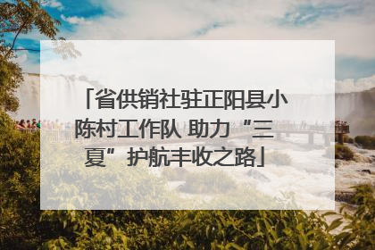 省供销社驻正阳县小陈村工作队 助力“三夏”护航丰收之路