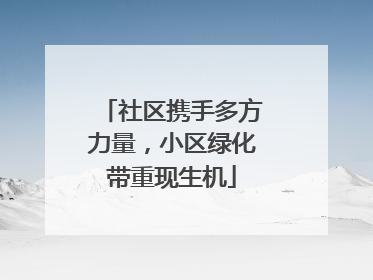 社区携手多方力量，小区绿化带重现生机