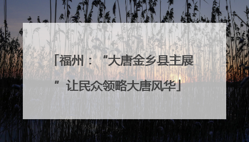 福州：“大唐金乡县主展”让民众领略大唐风华