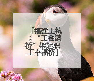 福建上杭：“工会鹊桥”架起职工幸福桥