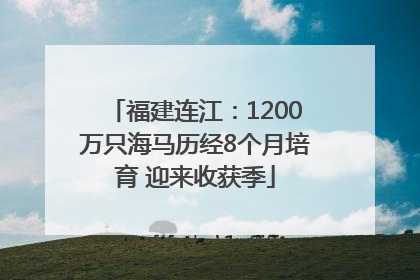 福建连江：1200万只海马历经8个月培育 迎来收获季