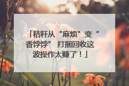 秸秆从“麻烦”变“香饽饽” 打捆回收这波操作太赚了！