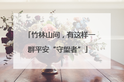 竹林山间，有这样一群平安“守望者”