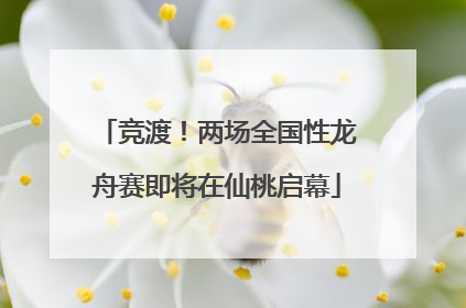竞渡！两场全国性龙舟赛即将在仙桃启幕