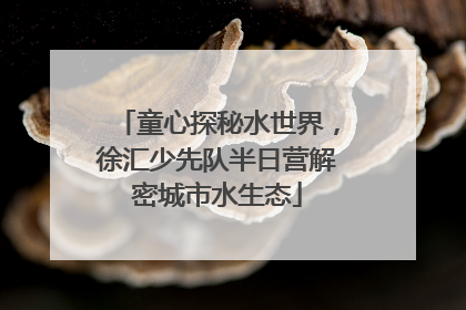 童心探秘水世界，徐汇少先队半日营解密城市水生态