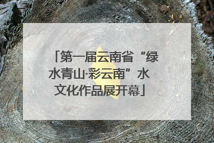 第一届云南省“绿水青山·彩云南”水文化作品展开幕