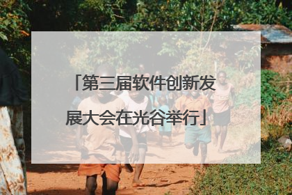 第三届软件创新发展大会在光谷举行