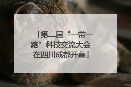 第二届“一带一路”科技交流大会在四川成都开幕