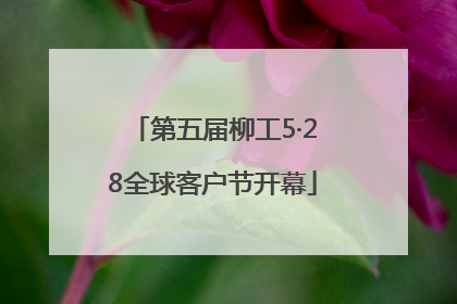 第五届柳工5·28全球客户节开幕