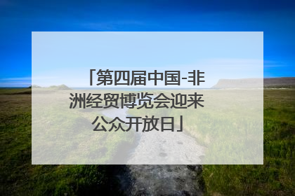 第四届中国-非洲经贸博览会迎来公众开放日