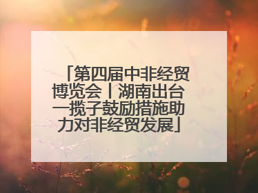 第四届中非经贸博览会丨湖南出台一揽子鼓励措施助力对非经贸发展