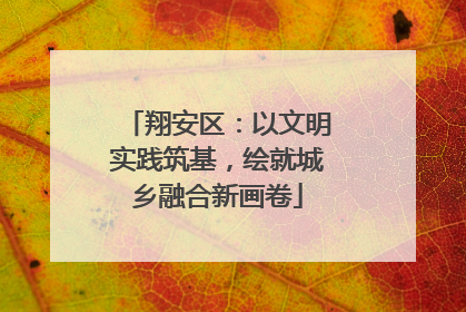 翔安区：以文明实践筑基，绘就城乡融合新画卷