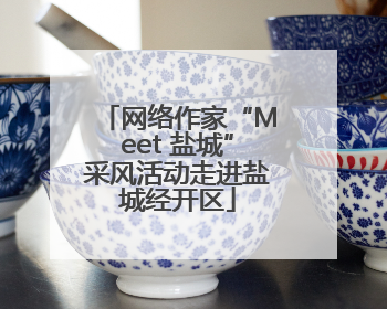 网络作家“Meet 盐城”采风活动走进盐城经开区