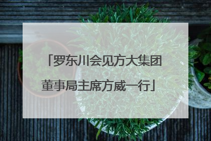 罗东川会见方大集团董事局主席方威一行