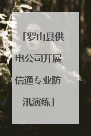 罗山县供电公司开展信通专业防汛演练