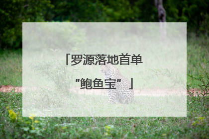 罗源落地首单“鲍鱼宝”