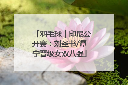 羽毛球｜印尼公开赛：刘圣书/谭宁晋级女双八强