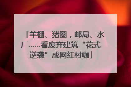 羊棚、猪圈，邮局、水厂……看废弃建筑“花式逆袭”成网红村咖