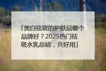 美白祛斑的护肤品哪个品牌好？2025热门祛斑水乳总结，真好用