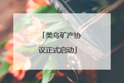 美乌矿产协议正式启动